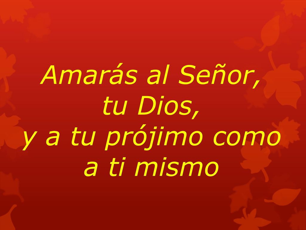 Amarás al Señor, tu Dios, y a tu prójimo como a ti mismo
