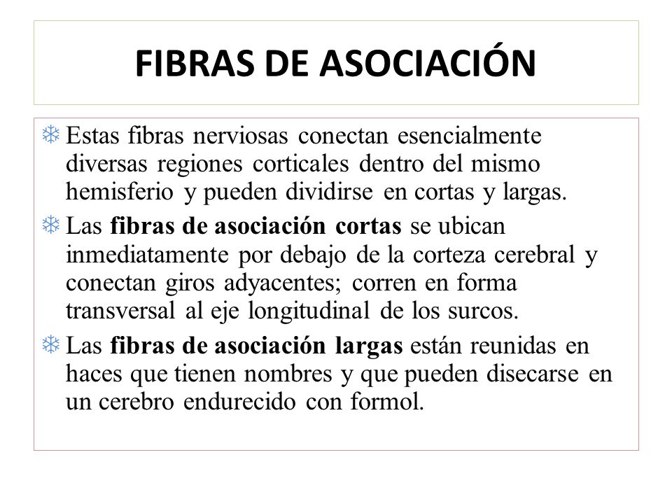 FIBRAS DE ASOCIACIÓN