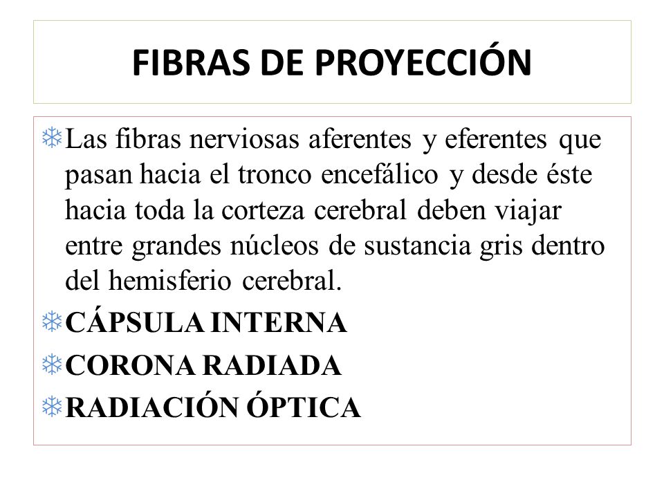 FIBRAS DE PROYECCIÓN