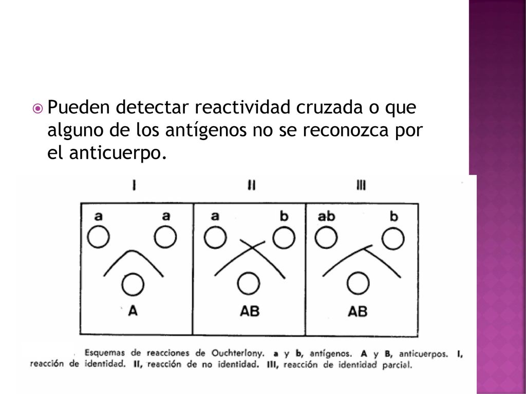 Pueden detectar reactividad cruzada o que alguno de los antígenos no se reconozca por el anticuerpo.