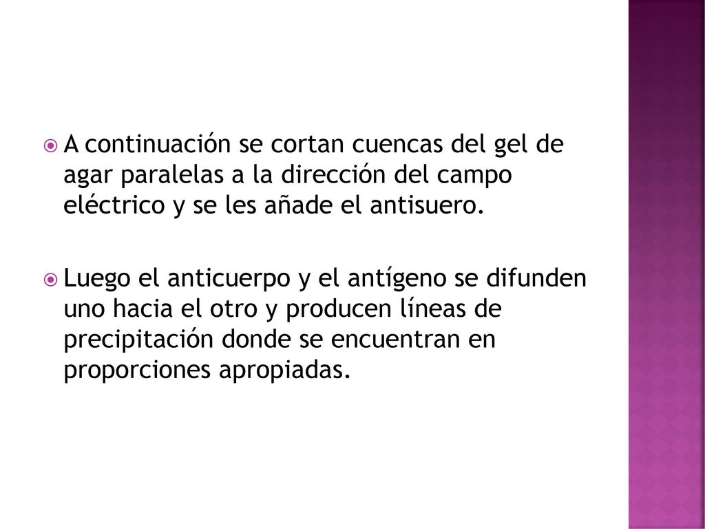 A continuación se cortan cuencas del gel de agar paralelas a la dirección del campo eléctrico y se les añade el antisuero.