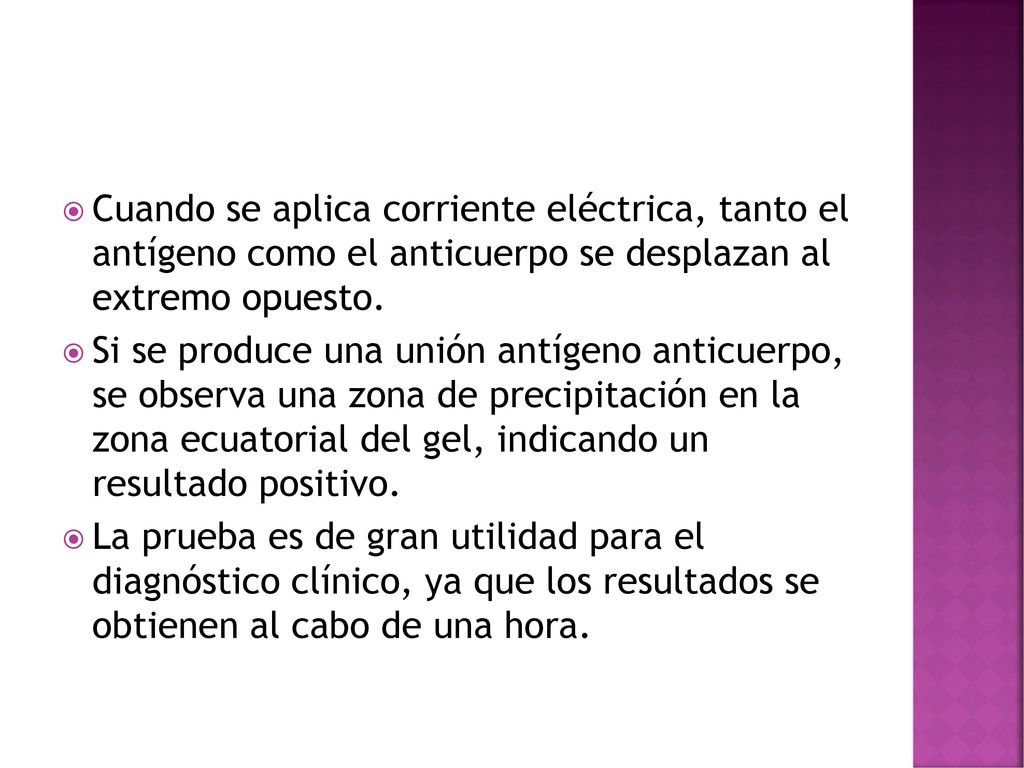 Cuando se aplica corriente eléctrica, tanto el antígeno como el anticuerpo se desplazan al extremo opuesto.