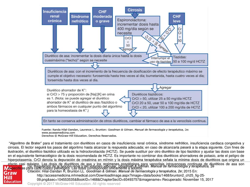 Algoritmo de Brater para el tratamiento con diuréticos en casos de insuficiencia renal crónica, síndrome nefrótico, insuficiencia cardiaca congestiva y cirrosis. El lector seguirá los pasos del algoritmo hasta alcanzar la respuesta adecuada; en caso de alcanzarla pasará a la etapa siguiente. Con fines de ilustración, el diurético tiazídico utilizado es la hidroclorotiacida (HCTZ). Se puede sustituir por otro diurético de tipo tiazídico y ajustar las dosis con base en el equivalente farmacológico de la dosis recomendada de HCTZ. Es importante no combinar dos diuréticos ahorradores de potasio, ante el peligro de hiperpotasemia. CrCl denota la depuración de creatinina en ml/min y la dosis máxima terapéutica señala la mínima dosis de diuréticos que origina un efecto casi máximo. Las dosis de diuréticos de asa y los regímenes posológicos para venoclisis intravenosas continuas de diuréticos de asa son específicas para cada cuadro patológico. Las dosis corresponden únicamente a adultos.