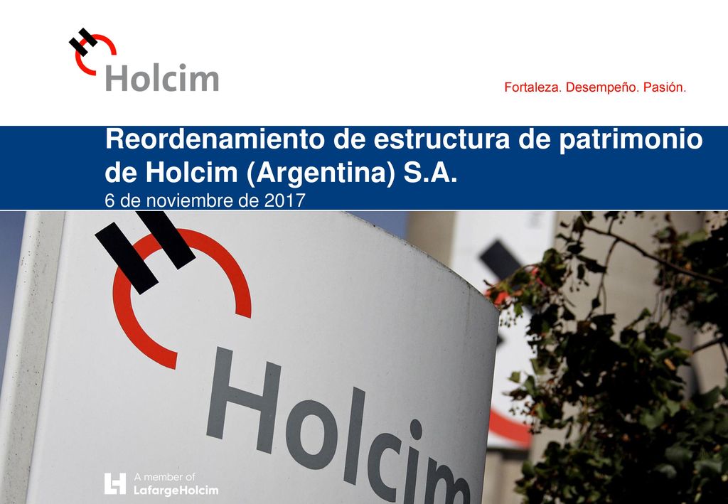 Reordenamiento de estructura de patrimonio de Holcim (Argentina) S.A.