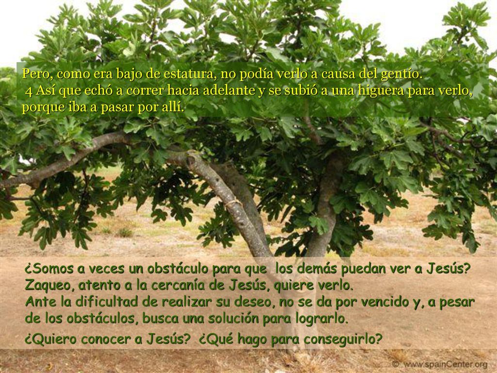 ¿Somos a veces un obstáculo para que los demás puedan ver a Jesús