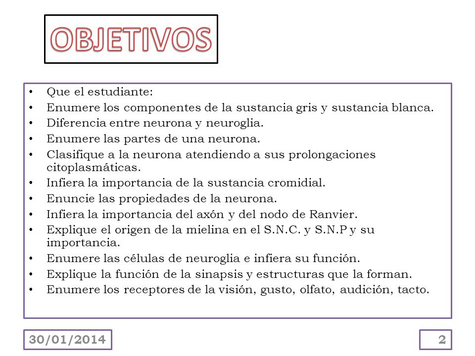 OBJETIVOS Que el estudiante: