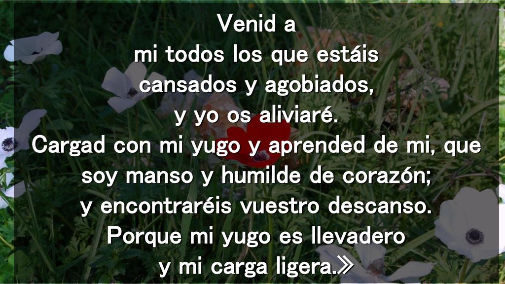Venid a mi todos los que estáis cansados y agobiados, y yo os aliviaré