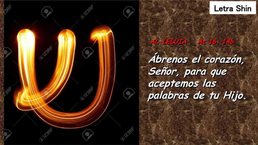 Ábrenos el corazón, Señor, para que aceptemos las palabras de tu Hijo.