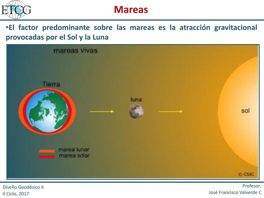 Mareas El factor predominante sobre las mareas es la atracción gravitacional provocadas por el Sol y la Luna.