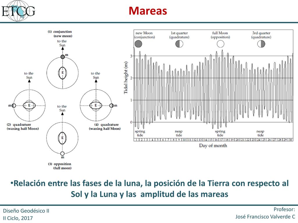 Mareas Relación entre las fases de la luna, la posición de la Tierra con respecto al Sol y la Luna y las amplitud de las mareas.