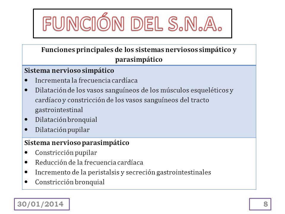 FUNCIÓN DEL S.N.A. Funciones principales de los sistemas nerviosos simpático y parasimpático. Sistema nervioso simpático.