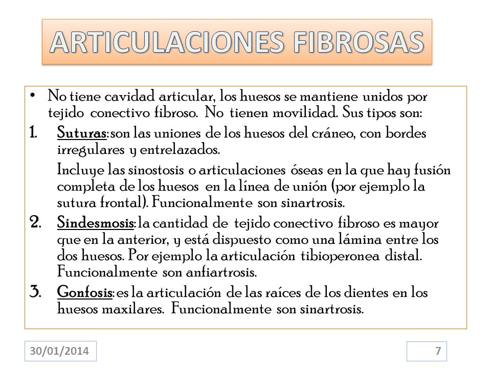 ARTICULACIONES FIBROSAS