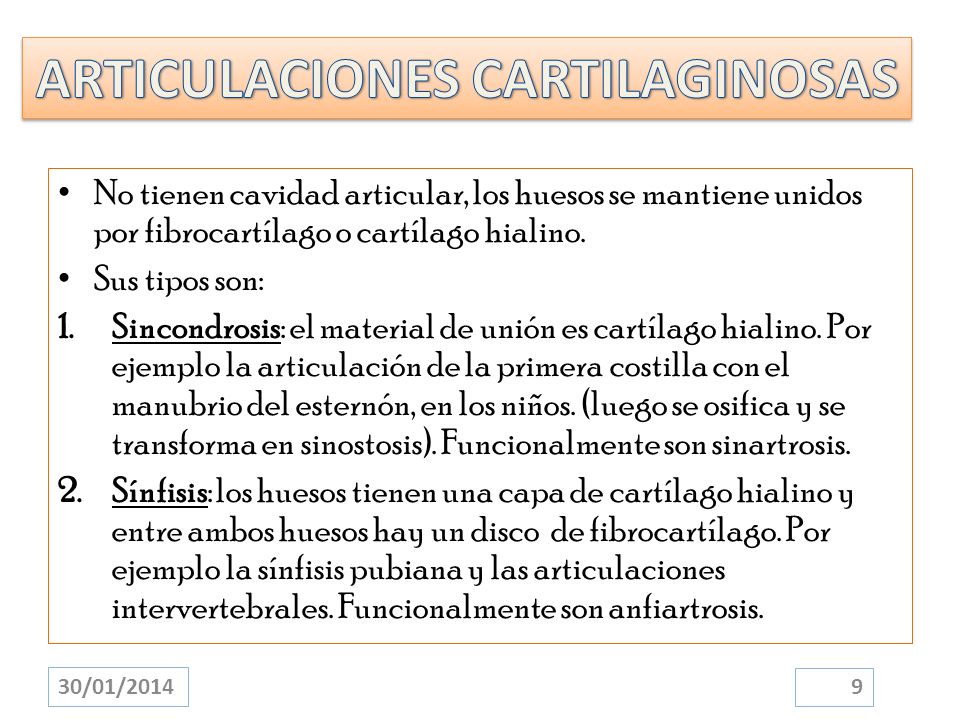 ARTICULACIONES CARTILAGINOSAS