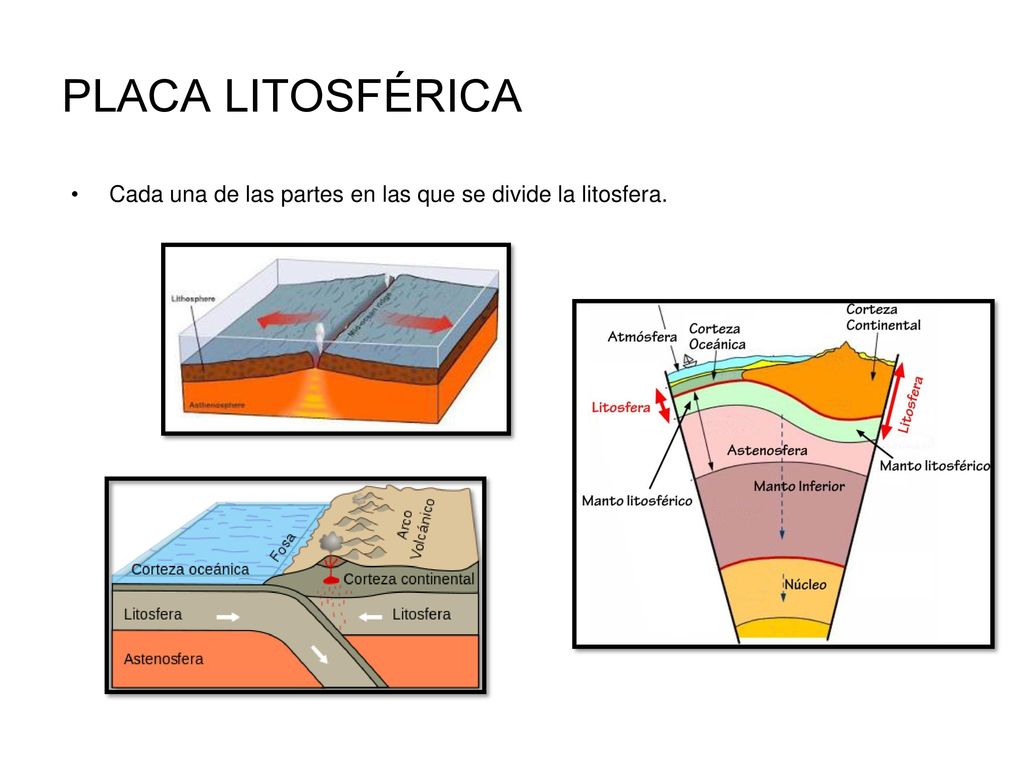PLACA LITOSFÉRICA Cada una de las partes en las que se divide la litosfera.