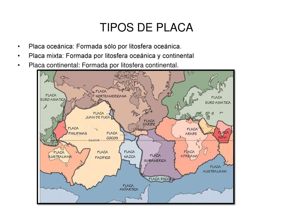 TIPOS DE PLACA Placa oceánica: Formada sólo por litosfera oceánica.