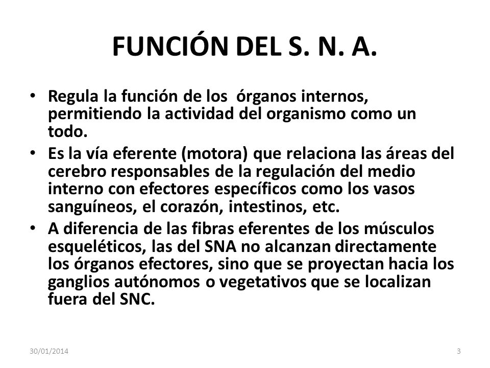 FUNCIÓN DEL S. N. A. Regula la función de los órganos internos, permitiendo la actividad del organismo como un todo.