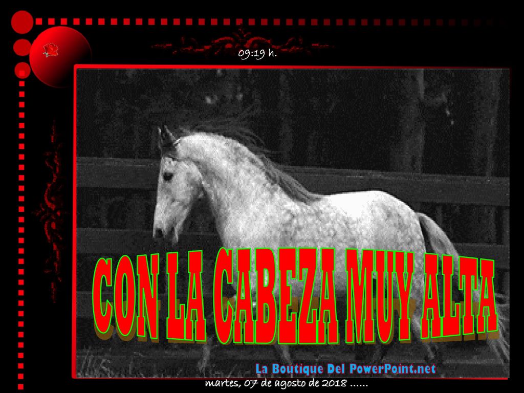 09:18 h. CON LA CABEZA MUY ALTA martes, 07 de agosto de 2018 ……