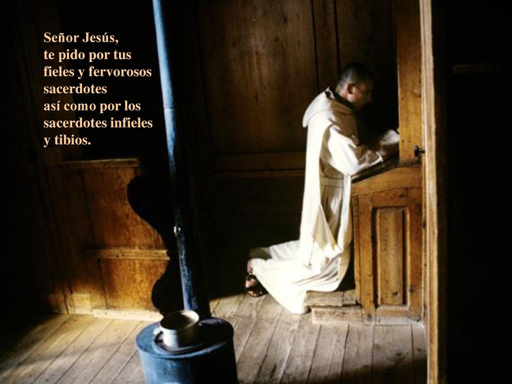 Señor Jesús, te pido por tus fieles y fervorosos sacerdotes.