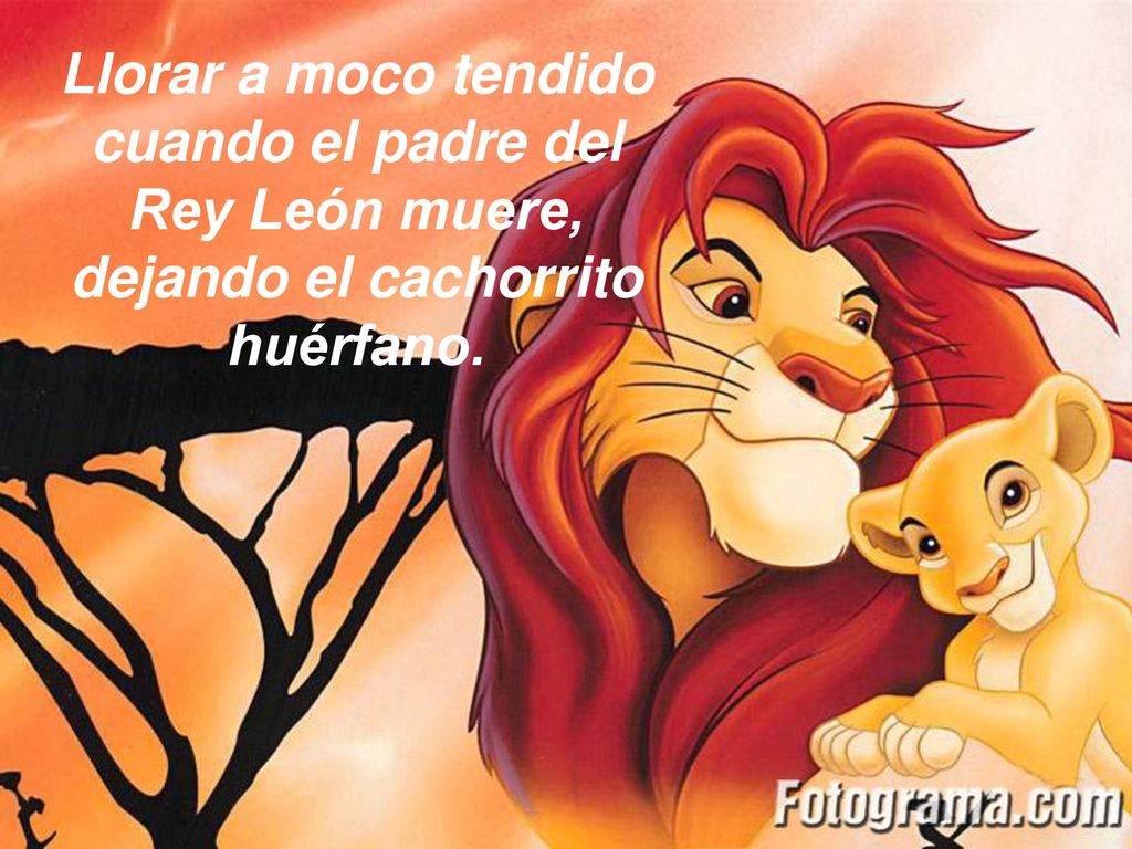 Llorar a moco tendido cuando el padre del Rey León muere, dejando el cachorrito huérfano.