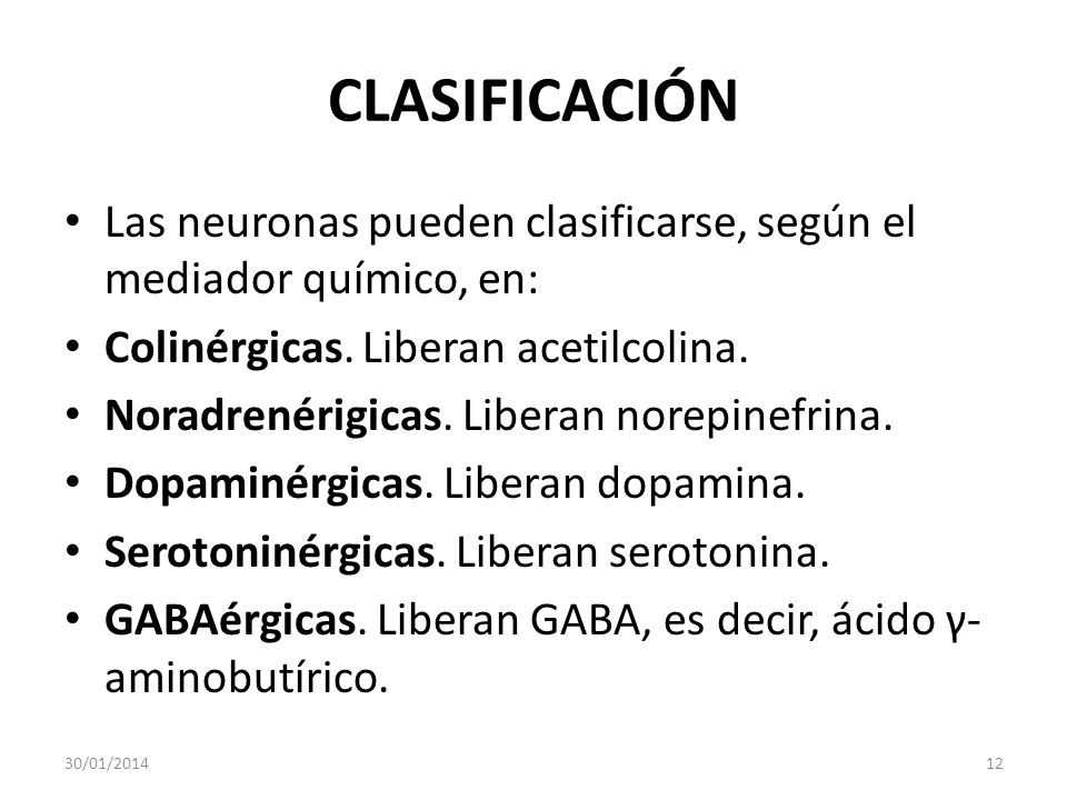 CLASIFICACIÓN Las neuronas pueden clasificarse, según el mediador químico, en: Colinérgicas. Liberan acetilcolina.