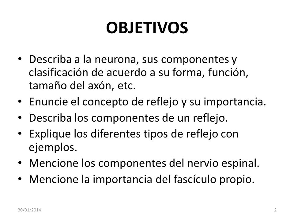 OBJETIVOS Describa a la neurona, sus componentes y clasificación de acuerdo a su forma, función, tamaño del axón, etc.