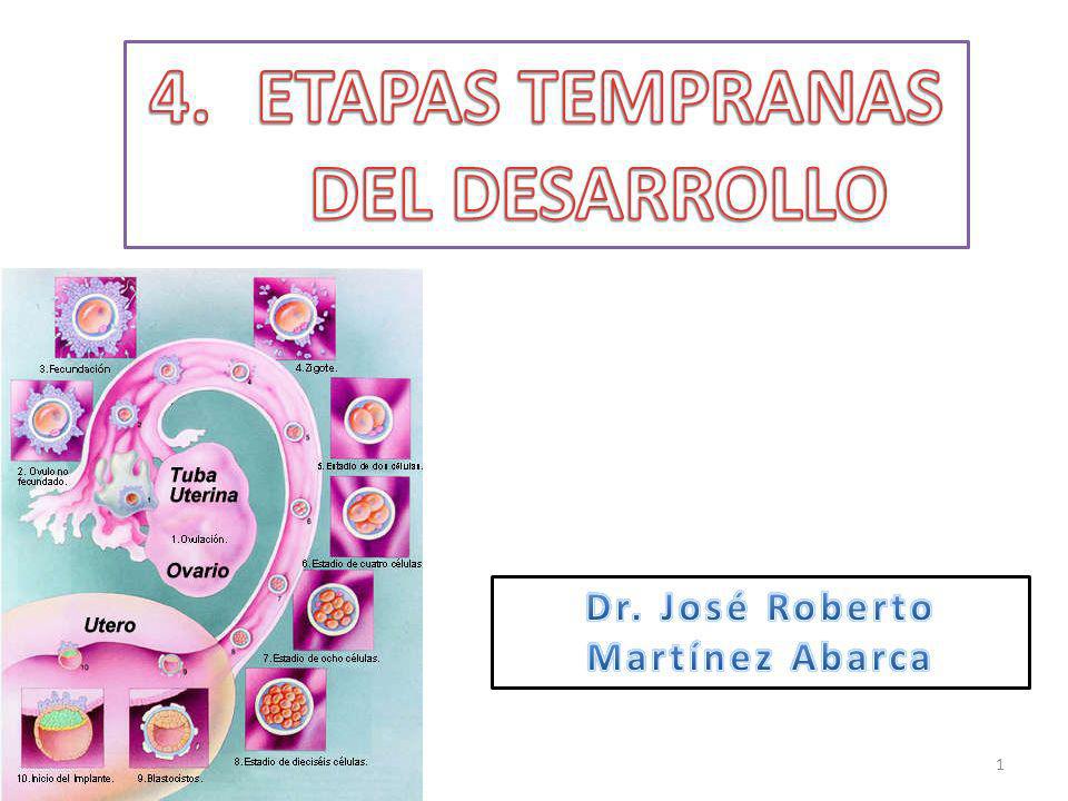 ETAPAS TEMPRANAS DEL DESARROLLO Dr. José Roberto Martínez Abarca