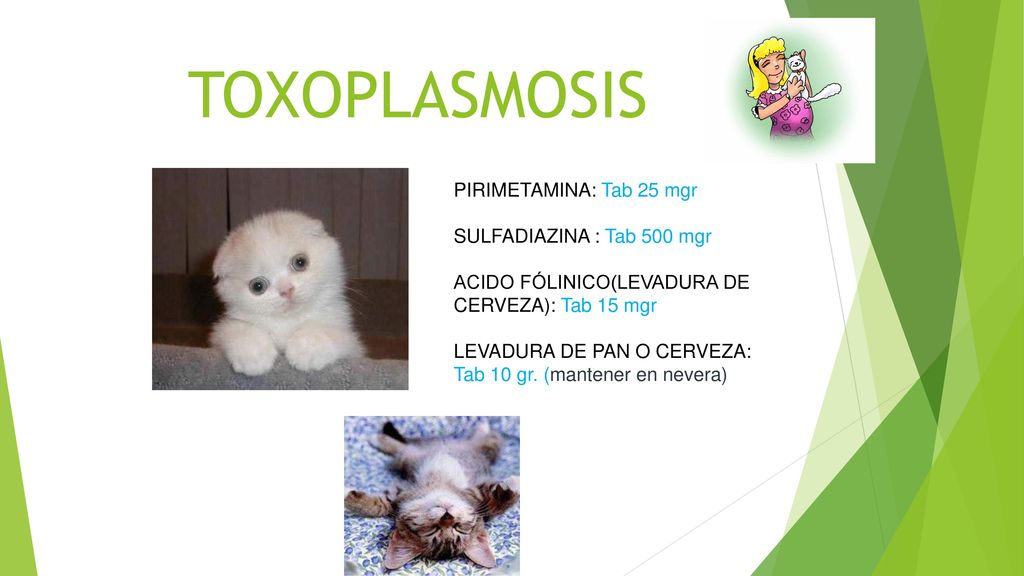 TOXOPLASMOSIS PIRIMETAMINA: Tab 25 mgr SULFADIAZINA : Tab 500 mgr