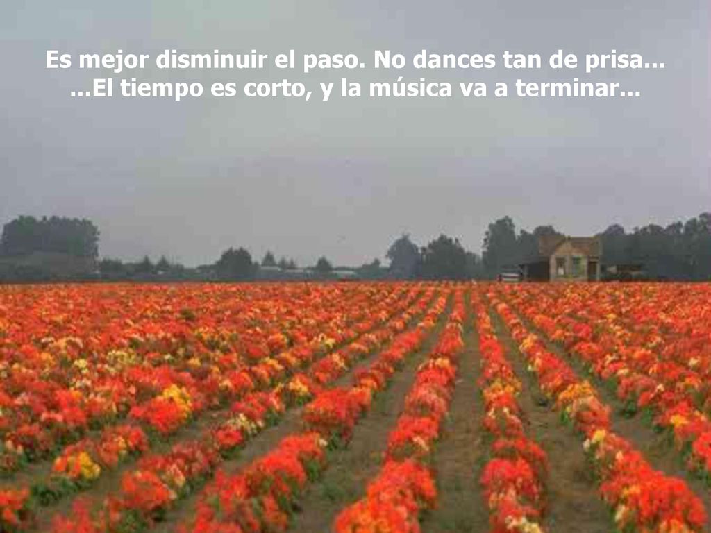 Es mejor disminuir el paso. No dances tan de prisa
