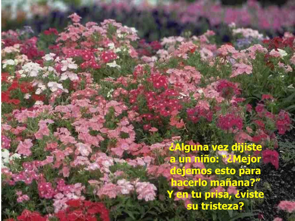¿Alguna vez dijiste a un niño: ¿Mejor dejemos esto para hacerlo mañana Y en tu prisa, ¿viste su tristeza