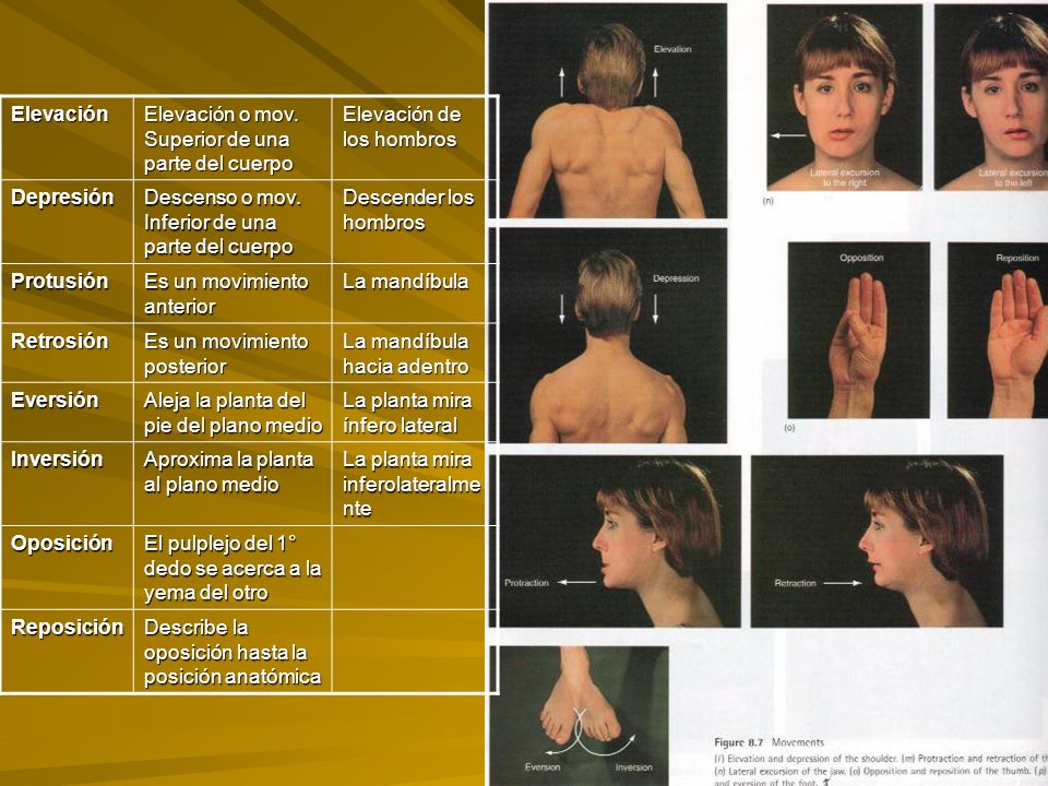 Elevación Elevación o mov. Superior de una parte del cuerpo. Elevación de los hombros. Depresión.