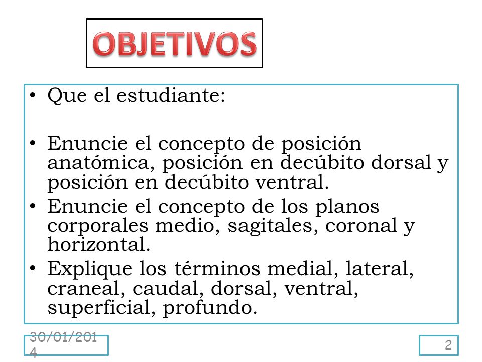 OBJETIVOS Que el estudiante: