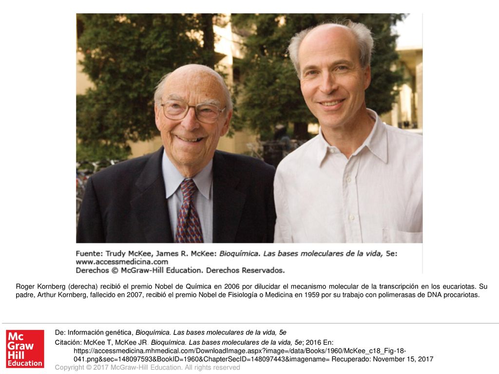 Roger Kornberg (derecha) recibió el premio Nobel de Química en 2006 por dilucidar el mecanismo molecular de la transcripción en los eucariotas. Su padre, Arthur Kornberg, fallecido en 2007, recibió el premio Nobel de Fisiología o Medicina en 1959 por su trabajo con polimerasas de DNA procariotas.