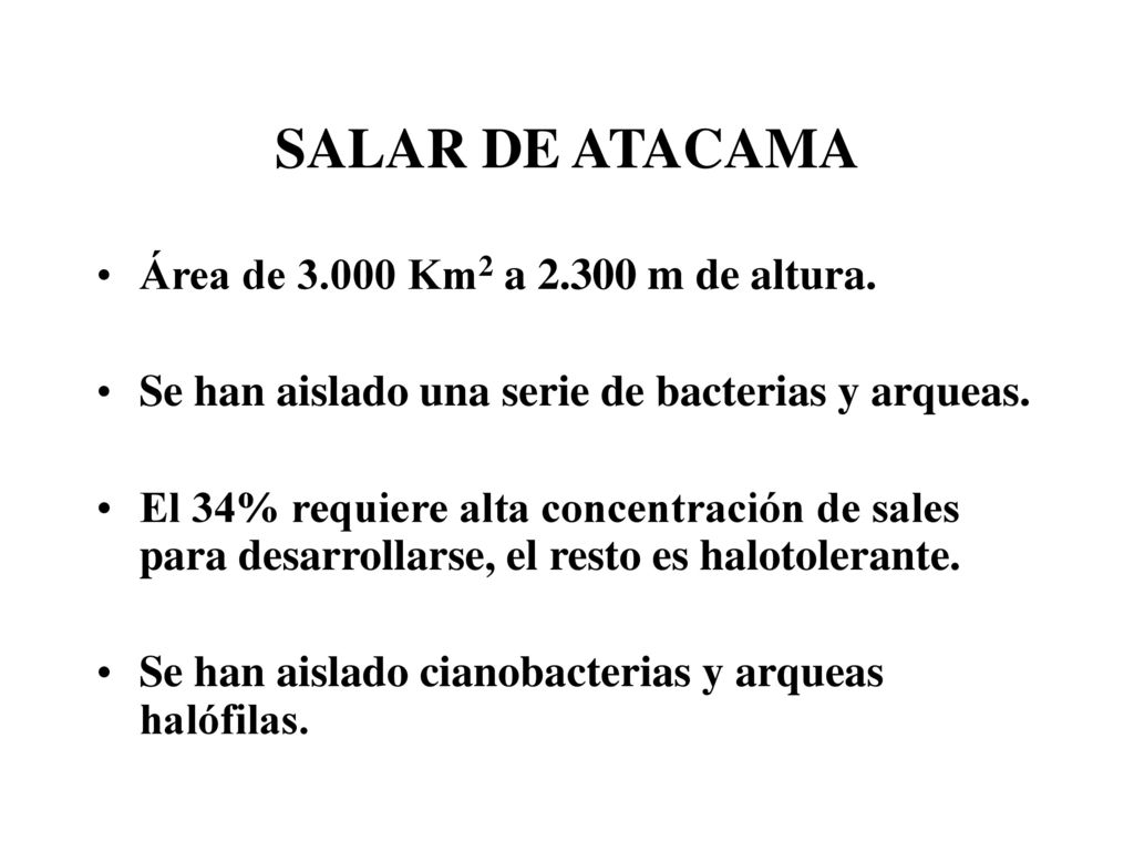 SALAR DE ATACAMA Área de Km2 a m de altura.