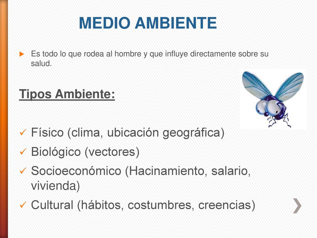 MEDIO AMBIENTE Tipos Ambiente: Físico (clima, ubicación geográfica)