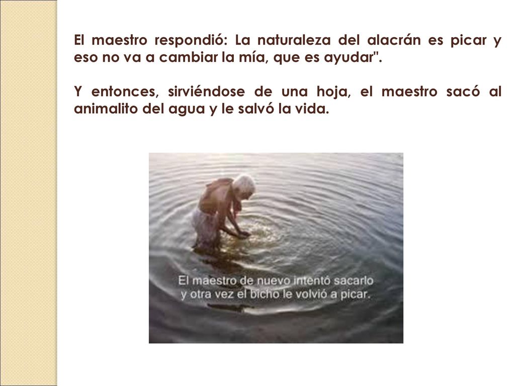 El maestro respondió: La naturaleza del alacrán es picar y eso no va a cambiar la mía, que es ayudar .