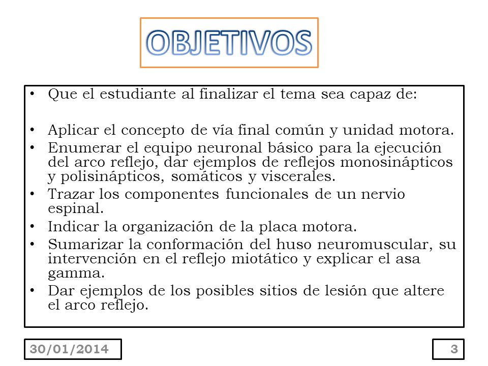 OBJETIVOS Que el estudiante al finalizar el tema sea capaz de: