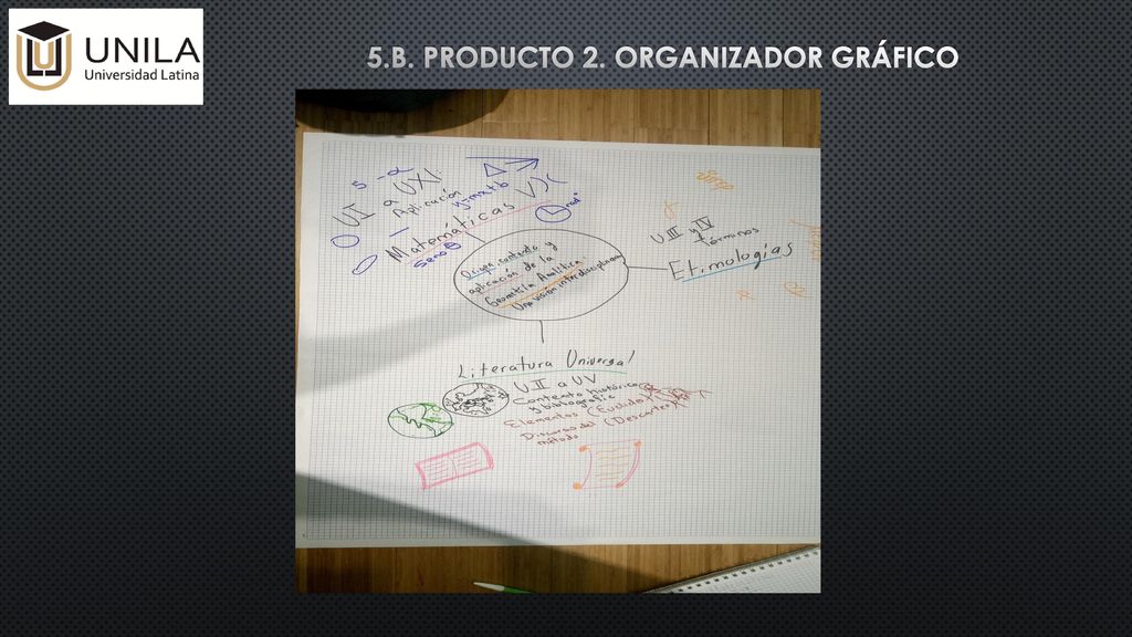 5.b. Producto 2. organizador gráfico