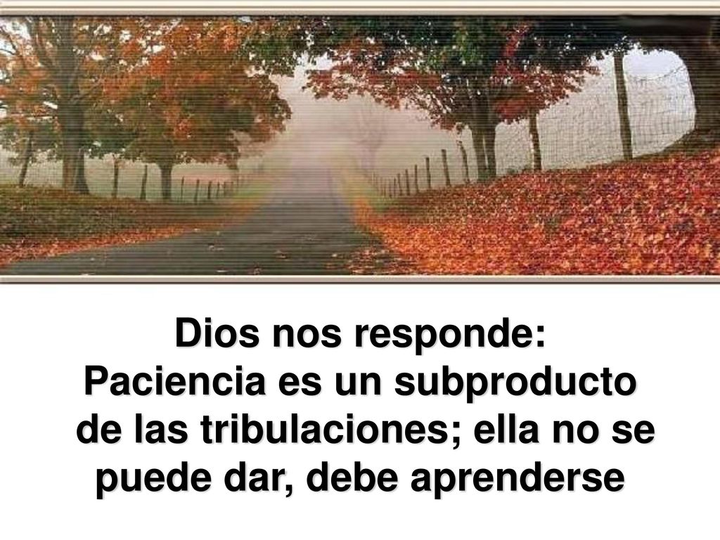 Dios nos responde: Paciencia es un subproducto