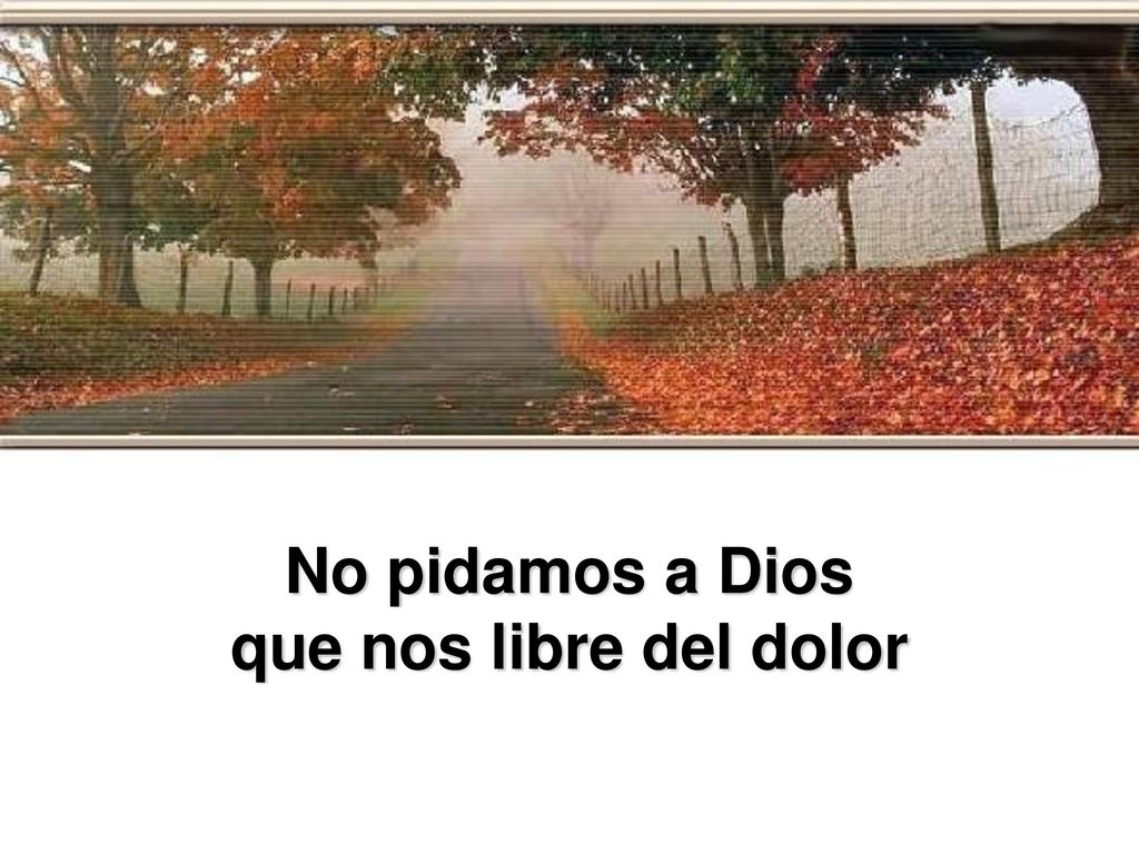 No pidamos a Dios que nos libre del dolor