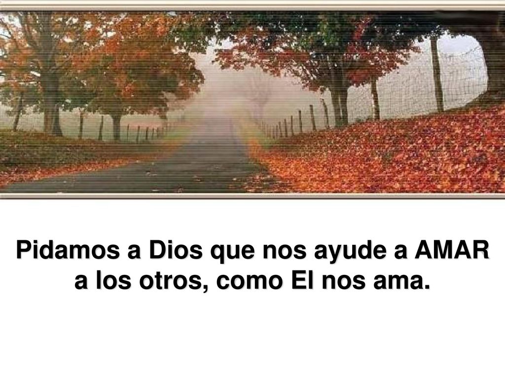 Pidamos a Dios que nos ayude a AMAR a los otros, como El nos ama.