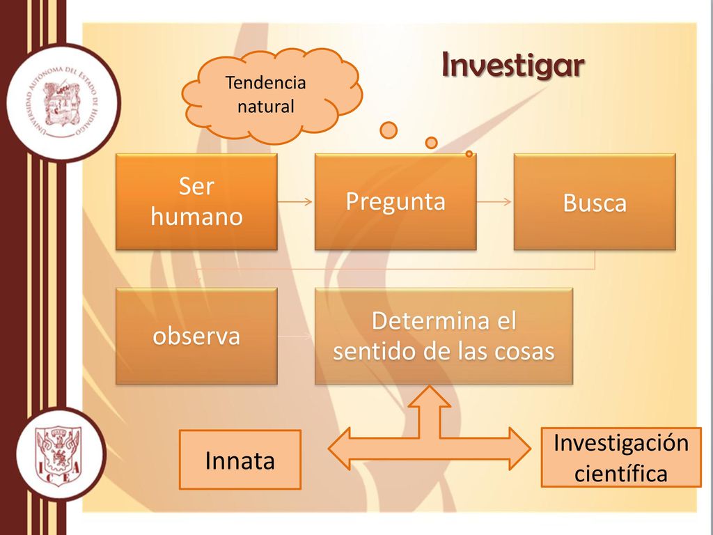 Investigar Ser humano Pregunta Busca Determina el sentido de las cosas