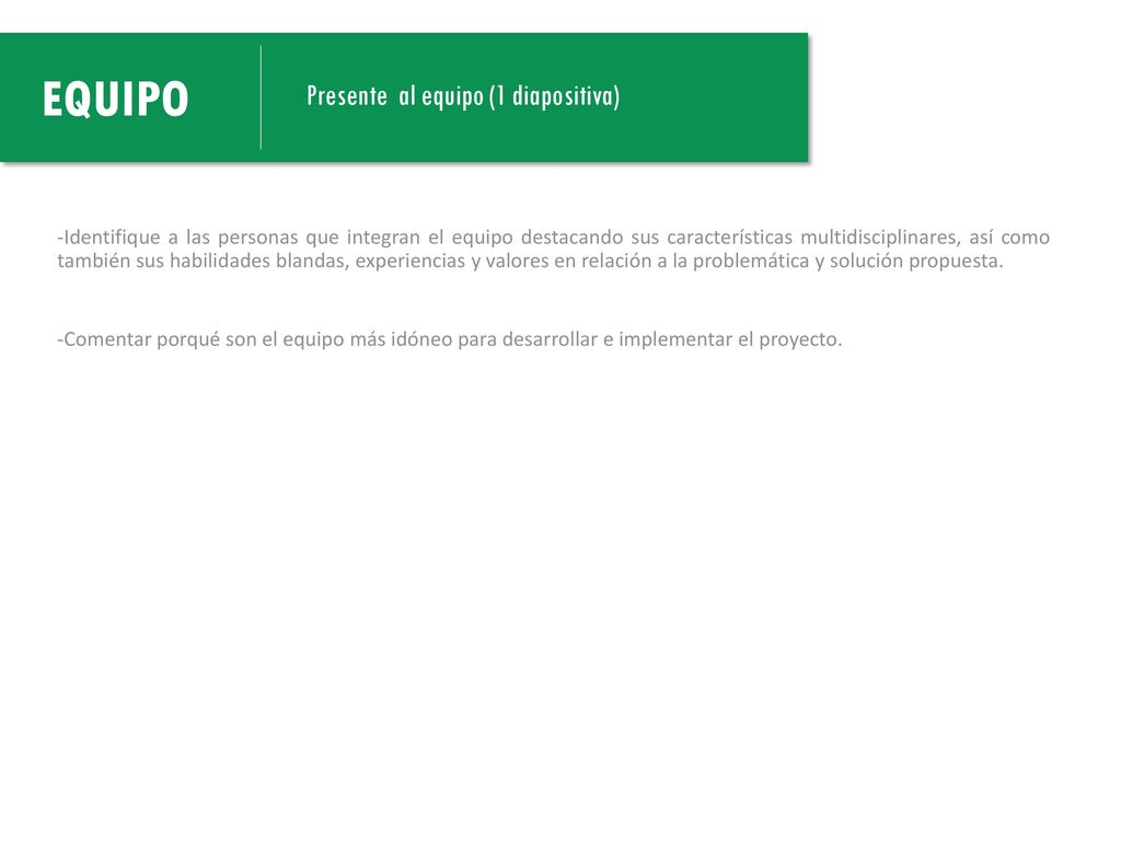 -Identifique a las personas que integran el equipo destacando sus características multidisciplinares, así como también sus habilidades blandas, experiencias y valores en relación a la problemática y solución propuesta.