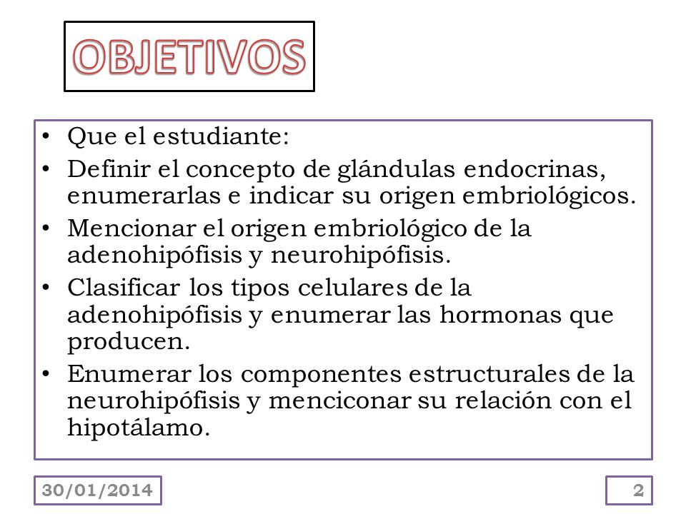OBJETIVOS Que el estudiante: