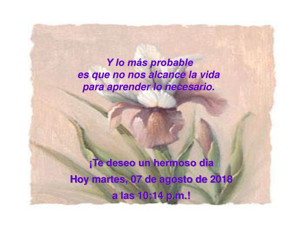 es que no nos alcance la vida para aprender lo necesario.
