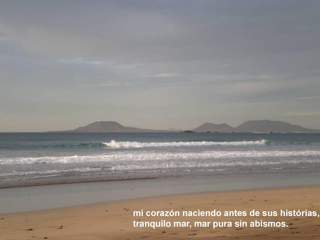 mi corazón naciendo antes de sus histórias,