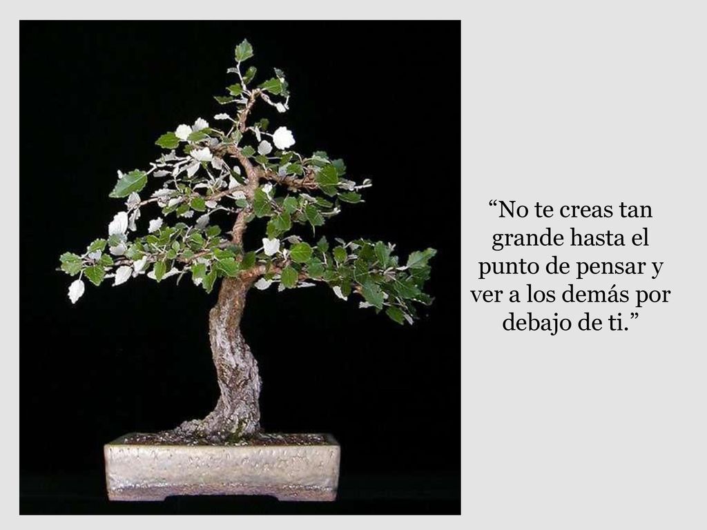 No te creas tan grande hasta el punto de pensar y ver a los demás por debajo de ti.