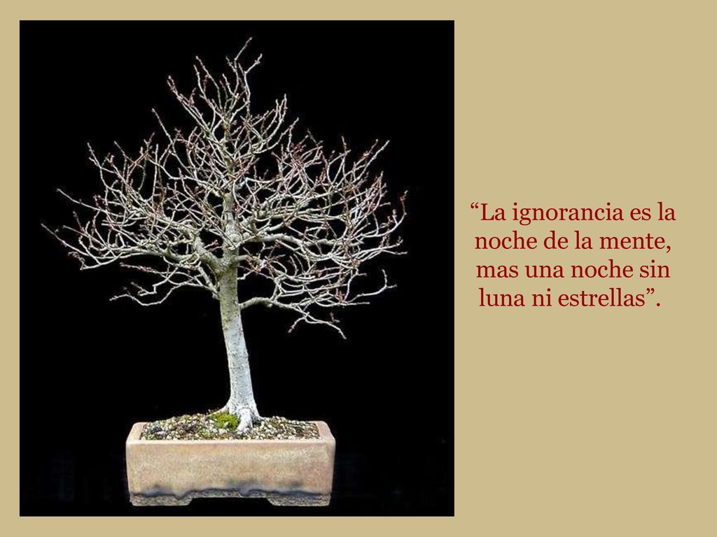 La ignorancia es la noche de la mente, mas una noche sin luna ni estrellas .