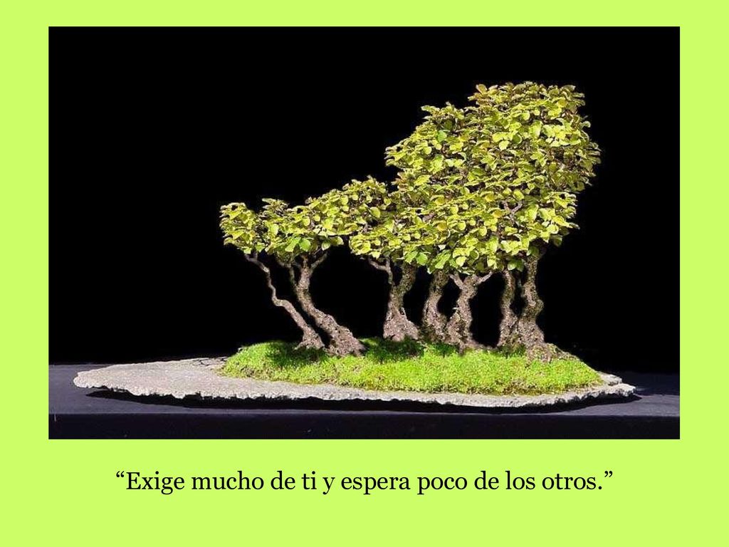 Exige mucho de ti y espera poco de los otros.