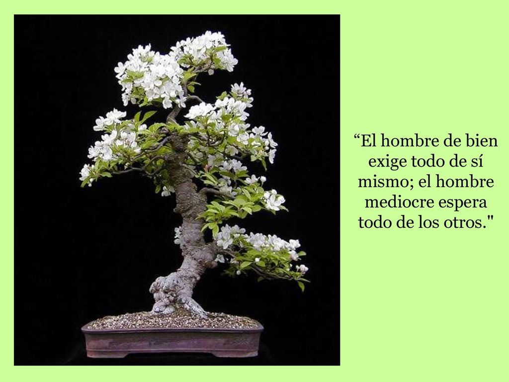 El hombre de bien exige todo de sí mismo; el hombre mediocre espera todo de los otros.