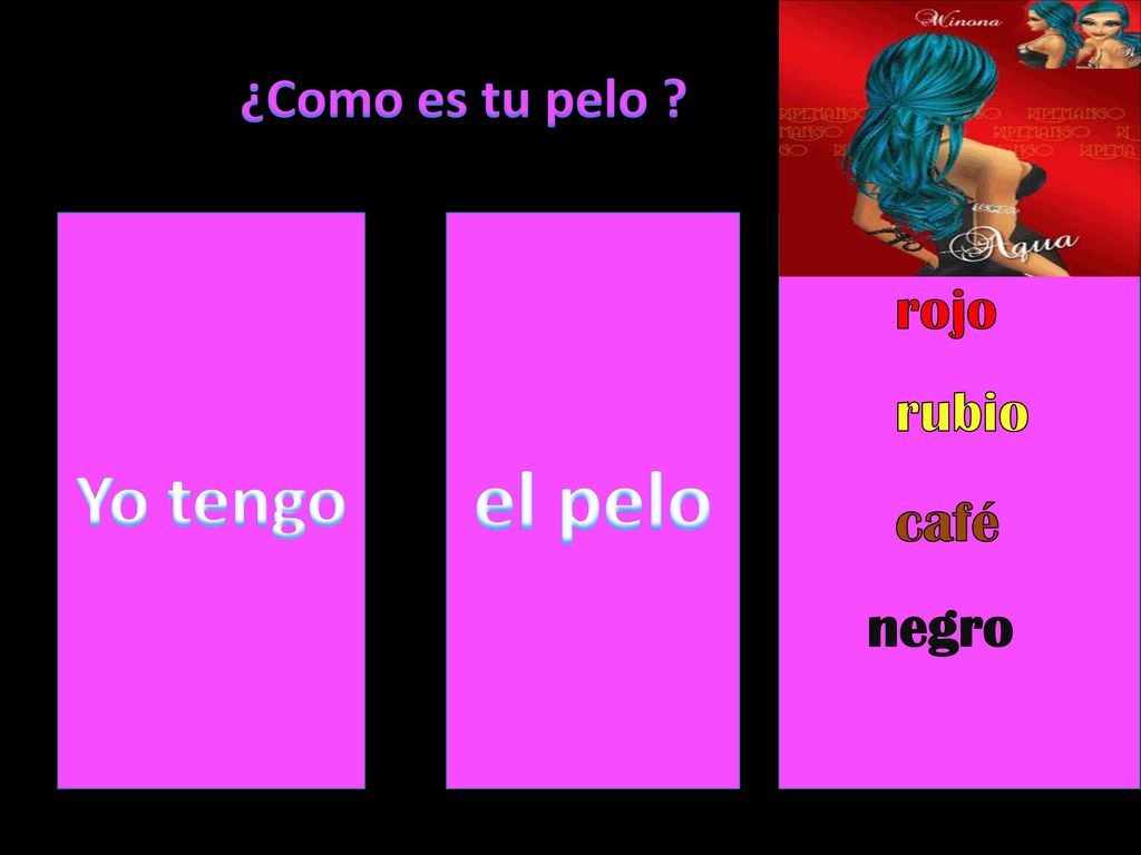 el pelo Yo tengo ¿Como es tu pelo rojo rubio café negro